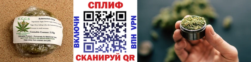 наркотики  Жиздра  Canna-Cookies конопля 