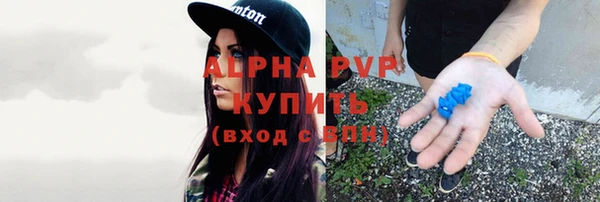 стафф Медвежьегорск