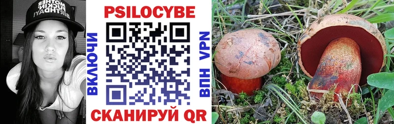 Галлюциногенные грибы Psilocybine cubensis  Жиздра 