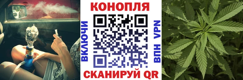 где купить наркотик  Жиздра  Конопля марихуана 